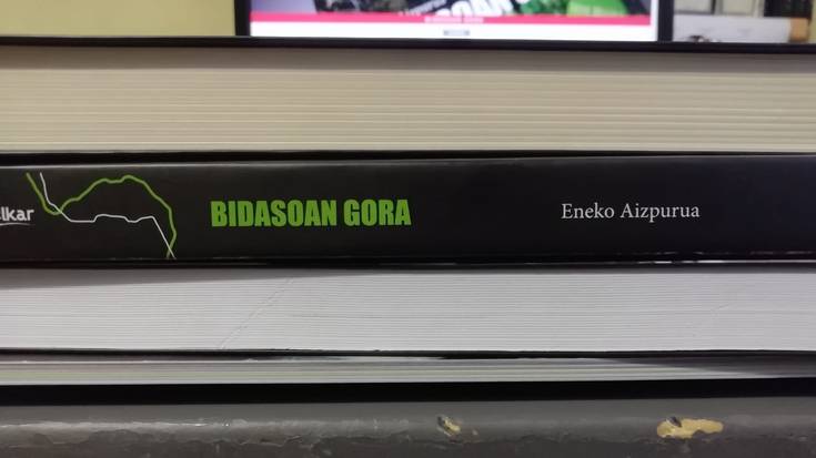 Bidasoan gora