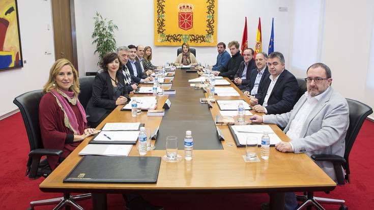 Altsasuko gertakaria gaitzesteko bi deklarazio onartu ditu Nafarroako Parlamentuak