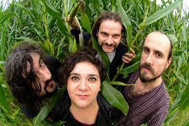 Zea Mays