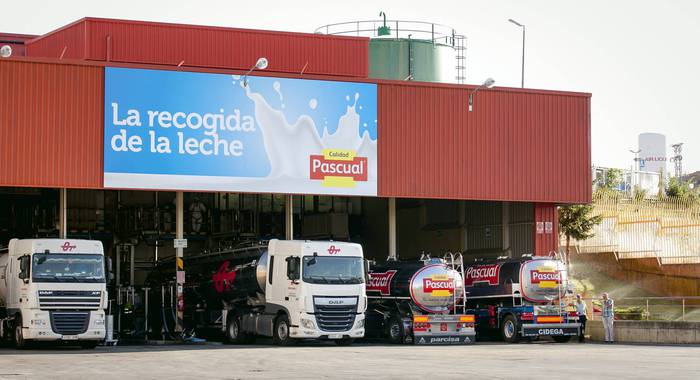 Nafarroan 31 langile dituen Pascual taldeak enplegu erregulazio espedientea aurkeztu du
