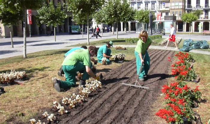 Lorez beteko dute laster Iruñea 85.000 landare desberdinekin
