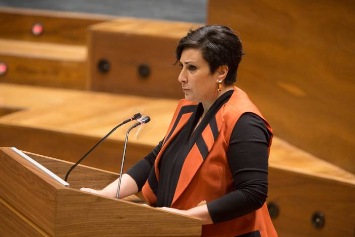 Parlamentuak atzera bota du etorkinak D eta A ereduetara gerturatzeko kanpaina baten eskaera