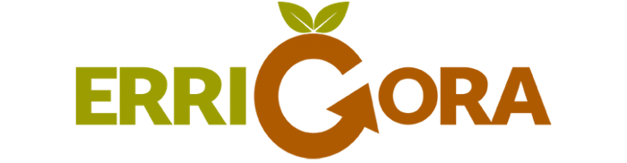 2019-10-30/11-20: Errigoraren kanpaina berria