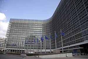 Epaiak euskaldunen eskubideak urratzen dituen aztertuko du Bruselak