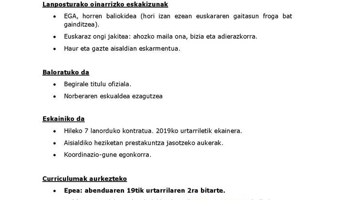 Topagunean 'Larunblai' aisialdi egitasmorako hezitzaile bila gabiltza