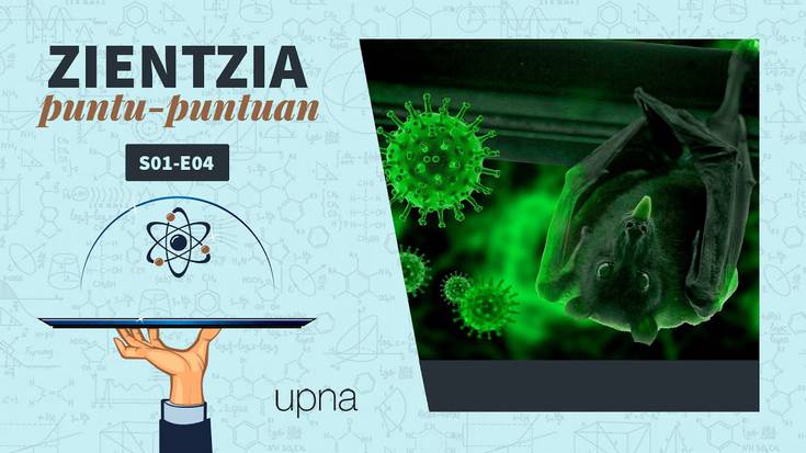Zientzia puntu puntuan |x04| Saguzarrak al dira koronabirusaren errudunak?