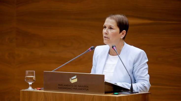 Erkidegoaren egoera aztergai, Parlamentuan