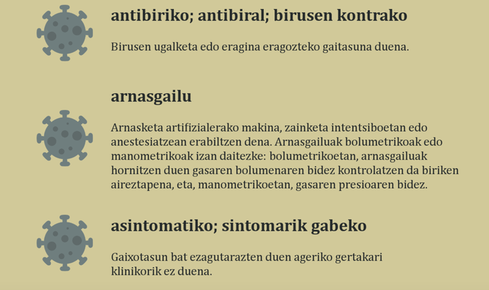 Euskaltzaindiak koronabirusaren oinarrizko lexikoa plazaratu du