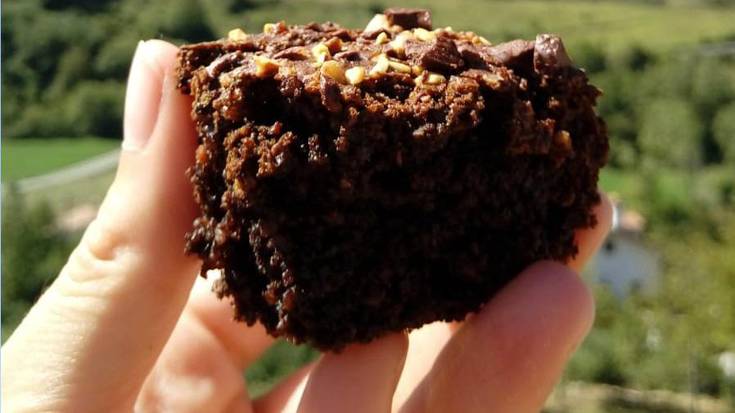 Algarroba browniea, Irati Lizarraga-ren (@gozogintzabeganoa) eskutik