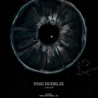'Negu hurbilak' filma eta solasaldia