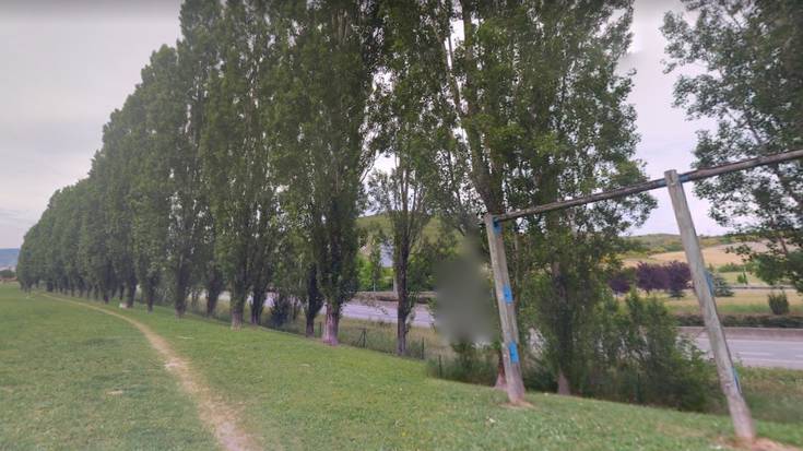 Mendillorriko bizilagunak "haserre",  auzoan 100 makal moztuko dituztelako