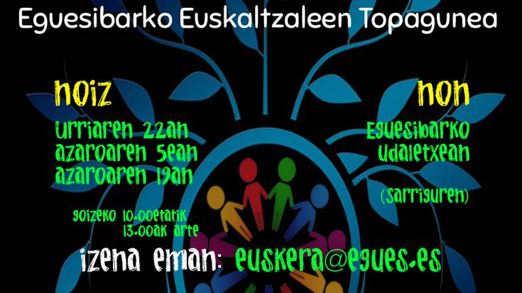 Euskaltzaleok etorkizuna irabazteko gogoetan