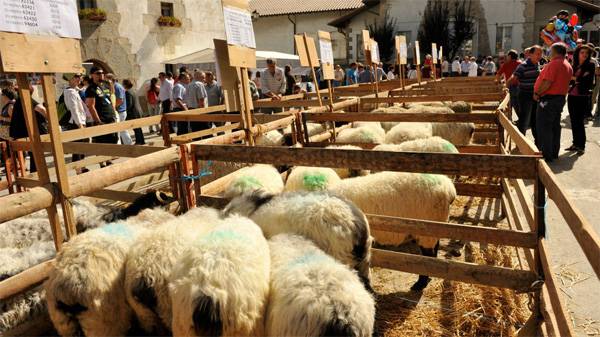 Lehen sektorean euskal erkidegoen arteko hartu-emana jaitsi egin da krisi garaian