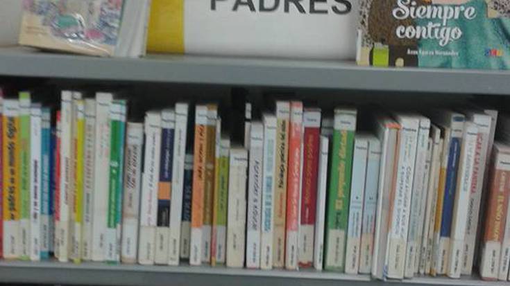 San Pedroko liburutegiko kartelen afera amaitzen ari da.