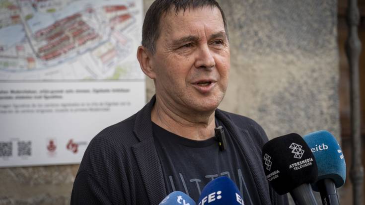 Arnaldo Otegik ez du ziurtatu EH Bilduren abstentzioa Txibite presidente bilakatzeko