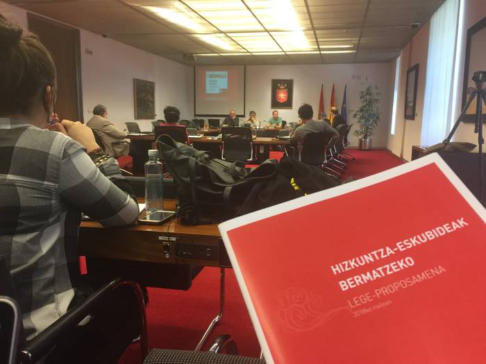 Paul Bilbao: "Ofizialtasuna eta bere ondorio juridikoak kontuan hartzea da aldaketarako legeak izan beharko dituen ardatzak"