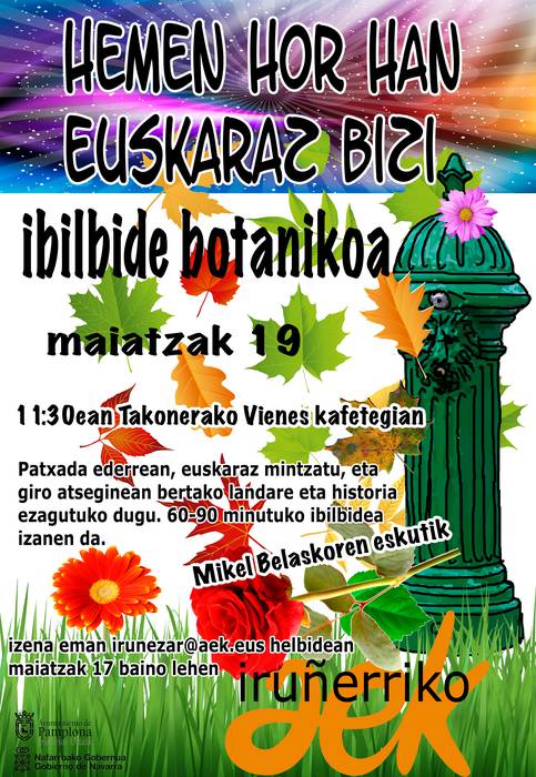 tAEKonera. Taconerako zuhaitz zaharren arteko ibilbidea.