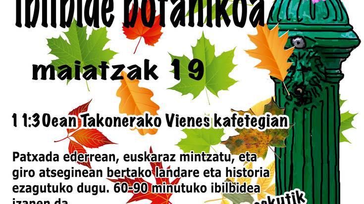 tAEKonera. Taconerako zuhaitz zaharren arteko ibilbidea.