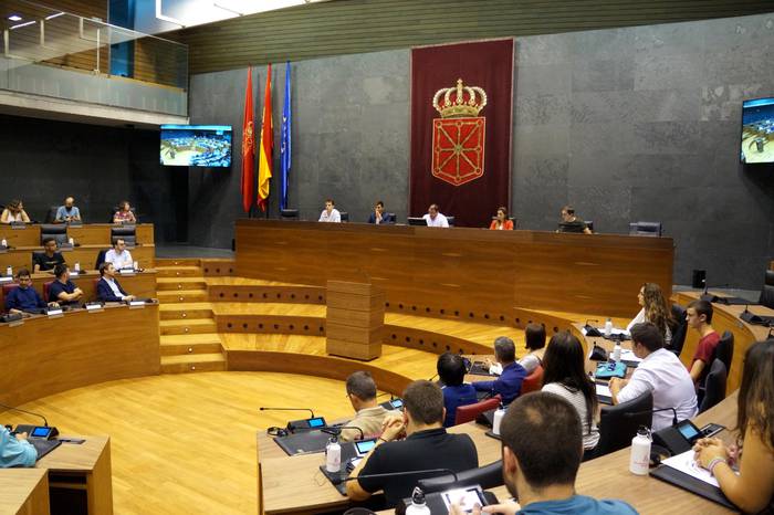 Gaur bildu da lehen aldiz Nafarroako Parlamentu Gaztea